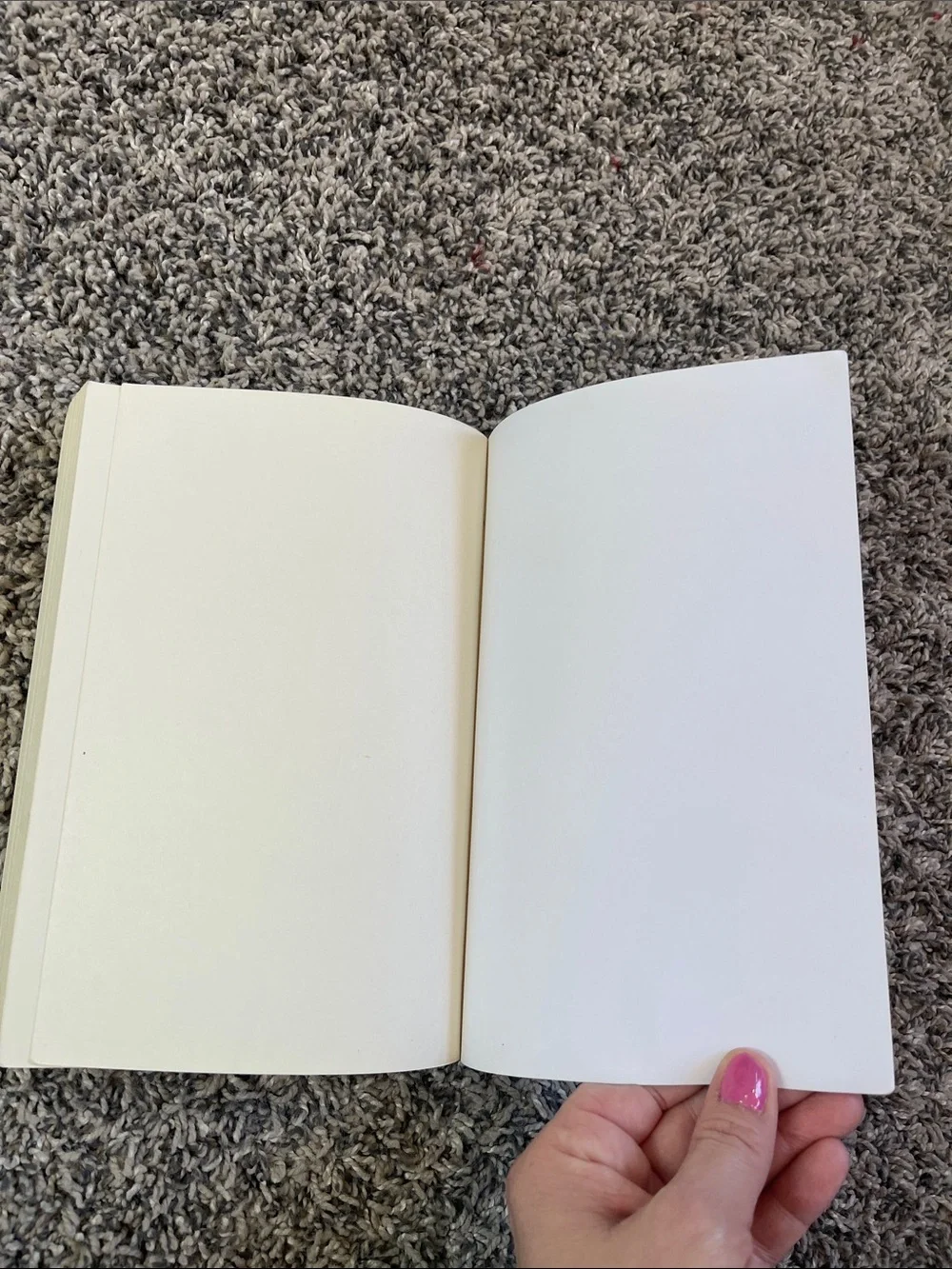Paperback book: Everyone knows you go home by Natalie Sylvester
